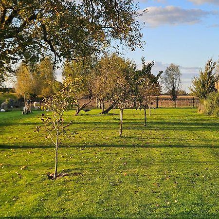 Gite Esprit Loft Fromelles Exteriör bild